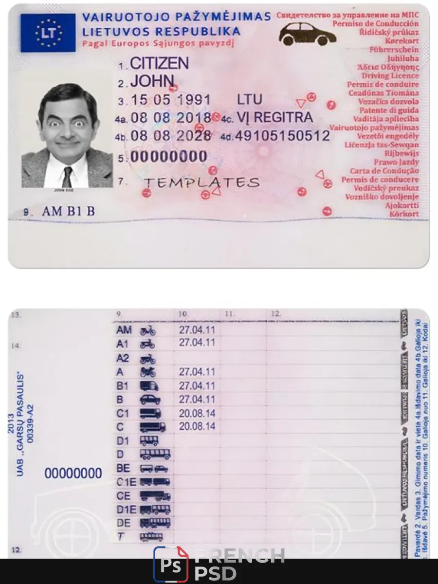Lituanie Dl 2013 présent — Permis de conduire