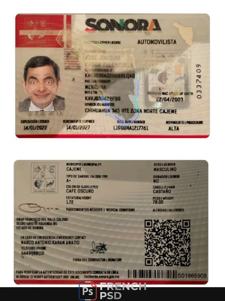 Mexique Sonora État permis de conduire — Permis de conduire