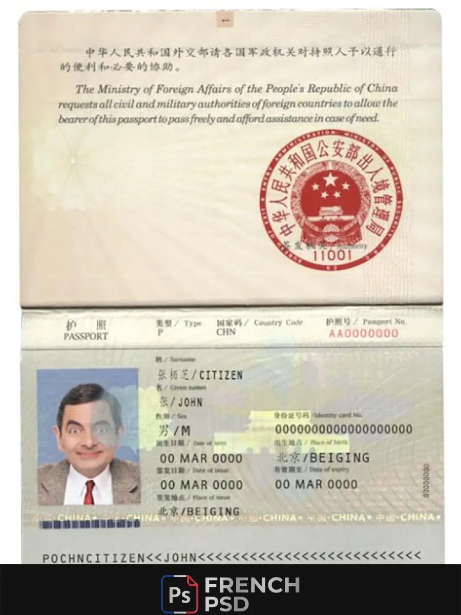 Chine passeport 2007 2009 — Passeports