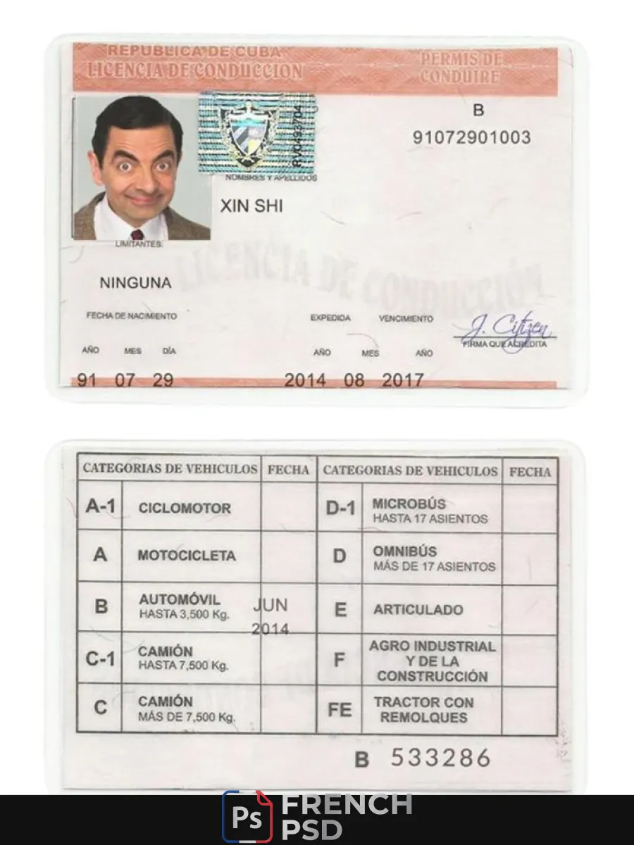 Cuba permis de conduire — Permis de conduire