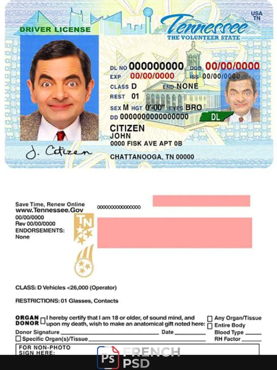 États-Unis Tennessee permis de conduire — Permis de conduire