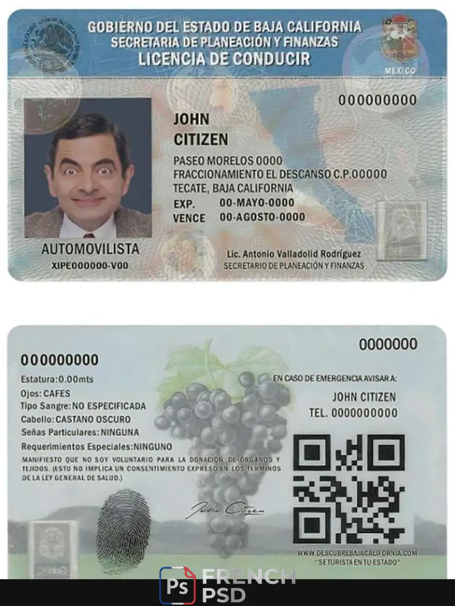 Mexique Baja California permis de conduire — Permis de conduire