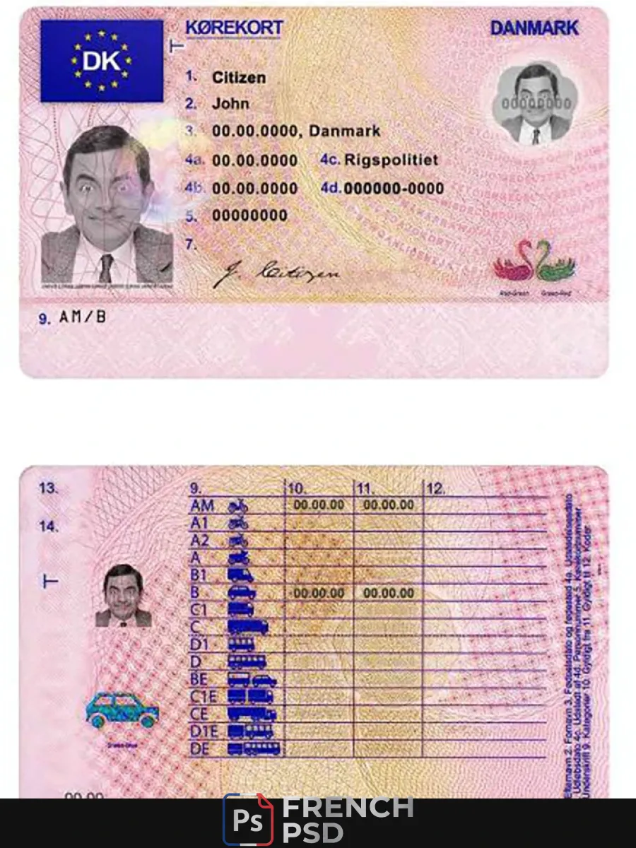 Danemark permis de conduire — Permis de conduire