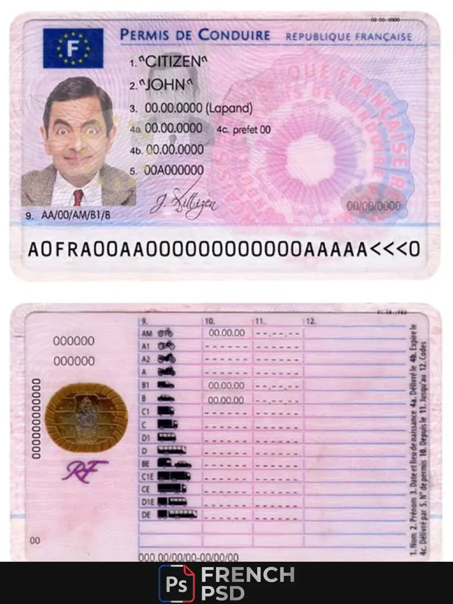 France permis de conduire — Permis de conduire
