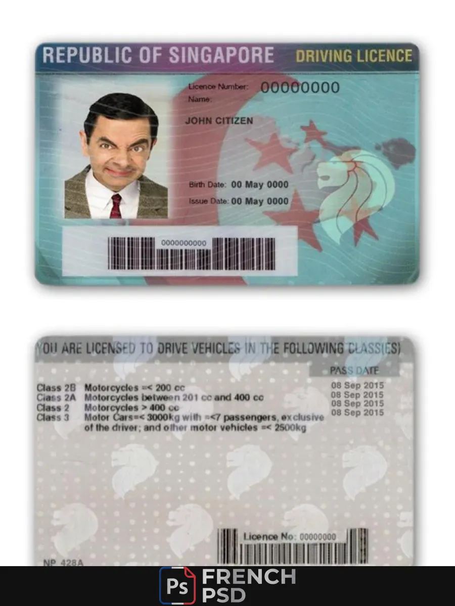 Singapour permis de conduire — Permis de conduire