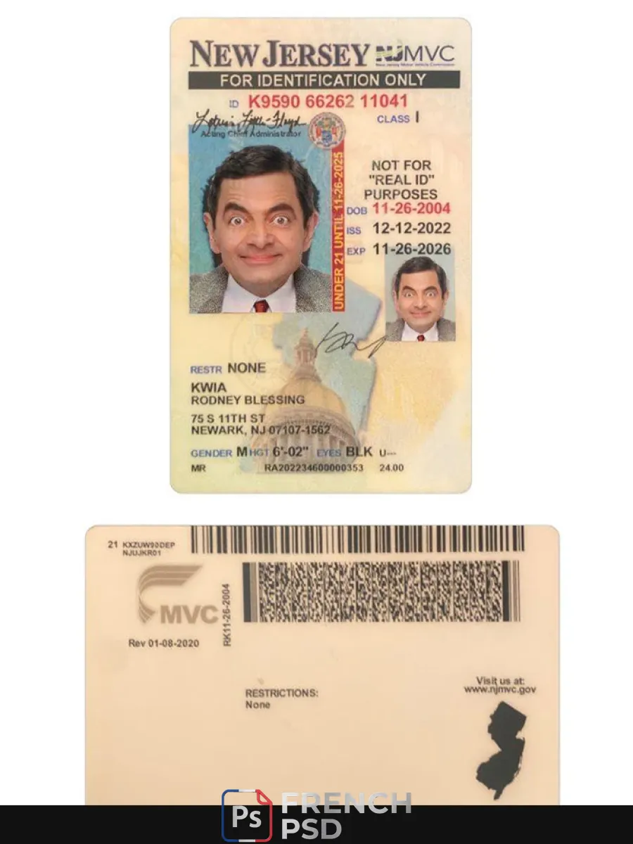 États-Unis nouveau Jersey moins de 21 carte d'identité — Cartes d'identité