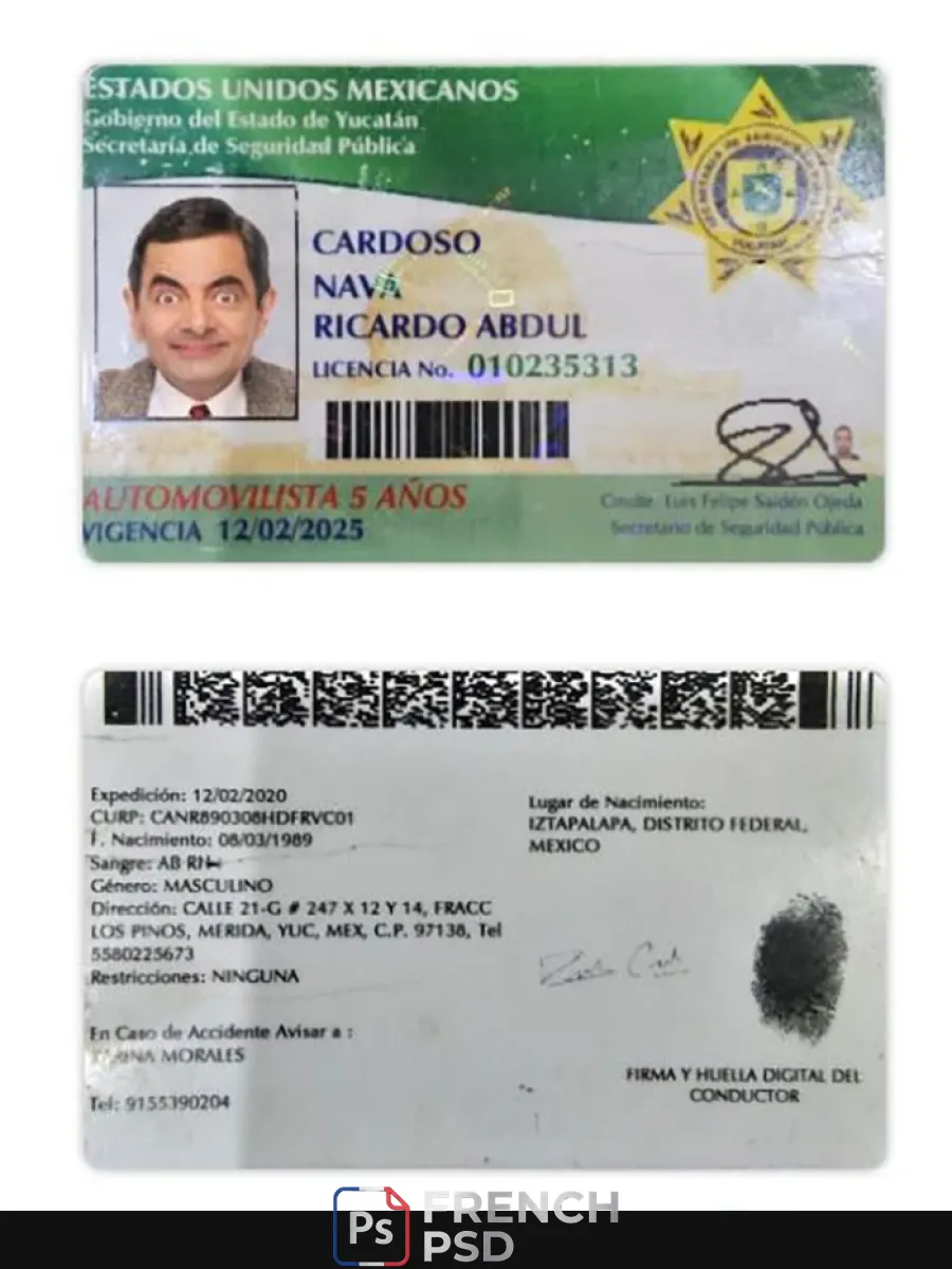Mexique Yucatan État permis de conduire — Permis de conduire