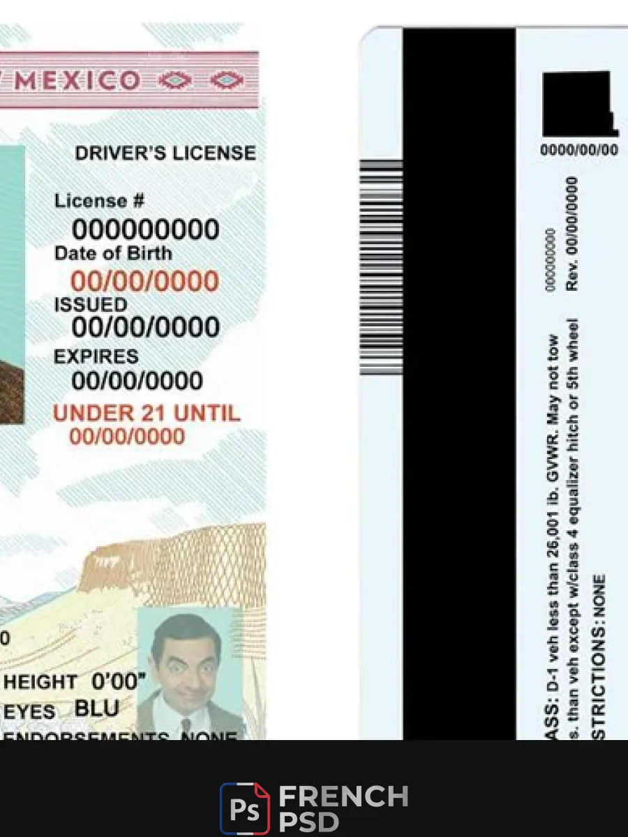 États-Unis État nouveau Mexique permis de conduire modèle en Psd format moins de 21 — Permis de conduire
