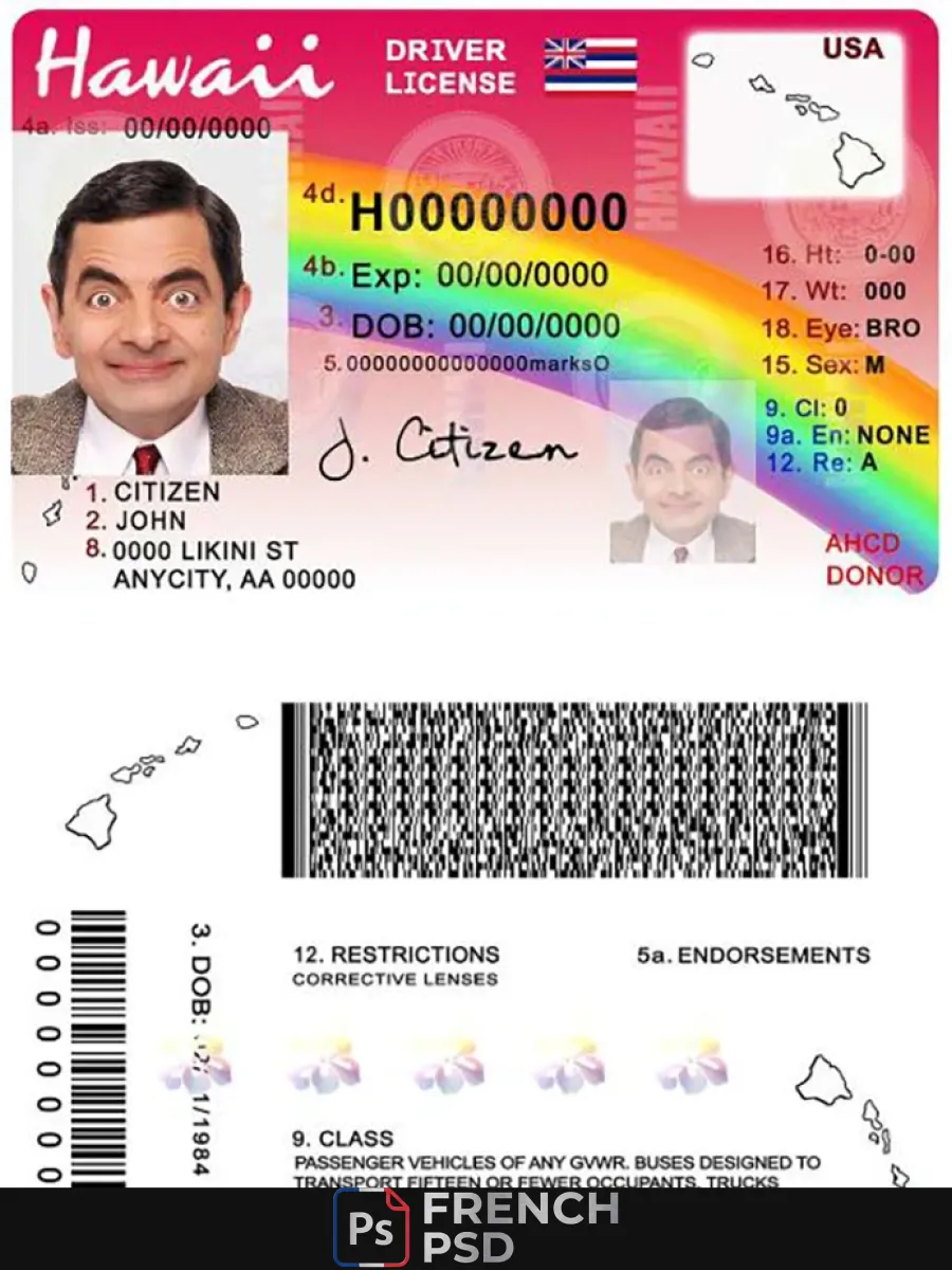 Hawaii permis de conduire — Permis de conduire