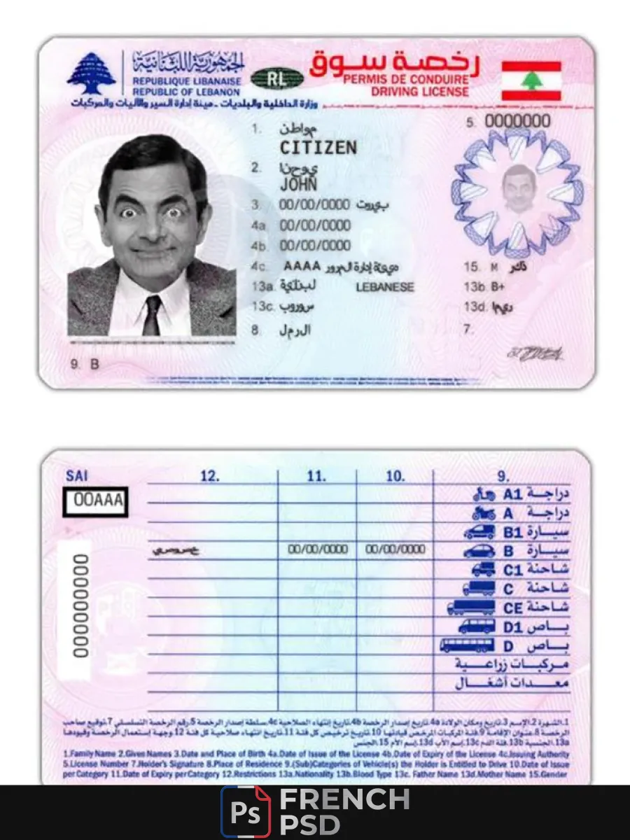 Liban permis de conduire — Permis de conduire