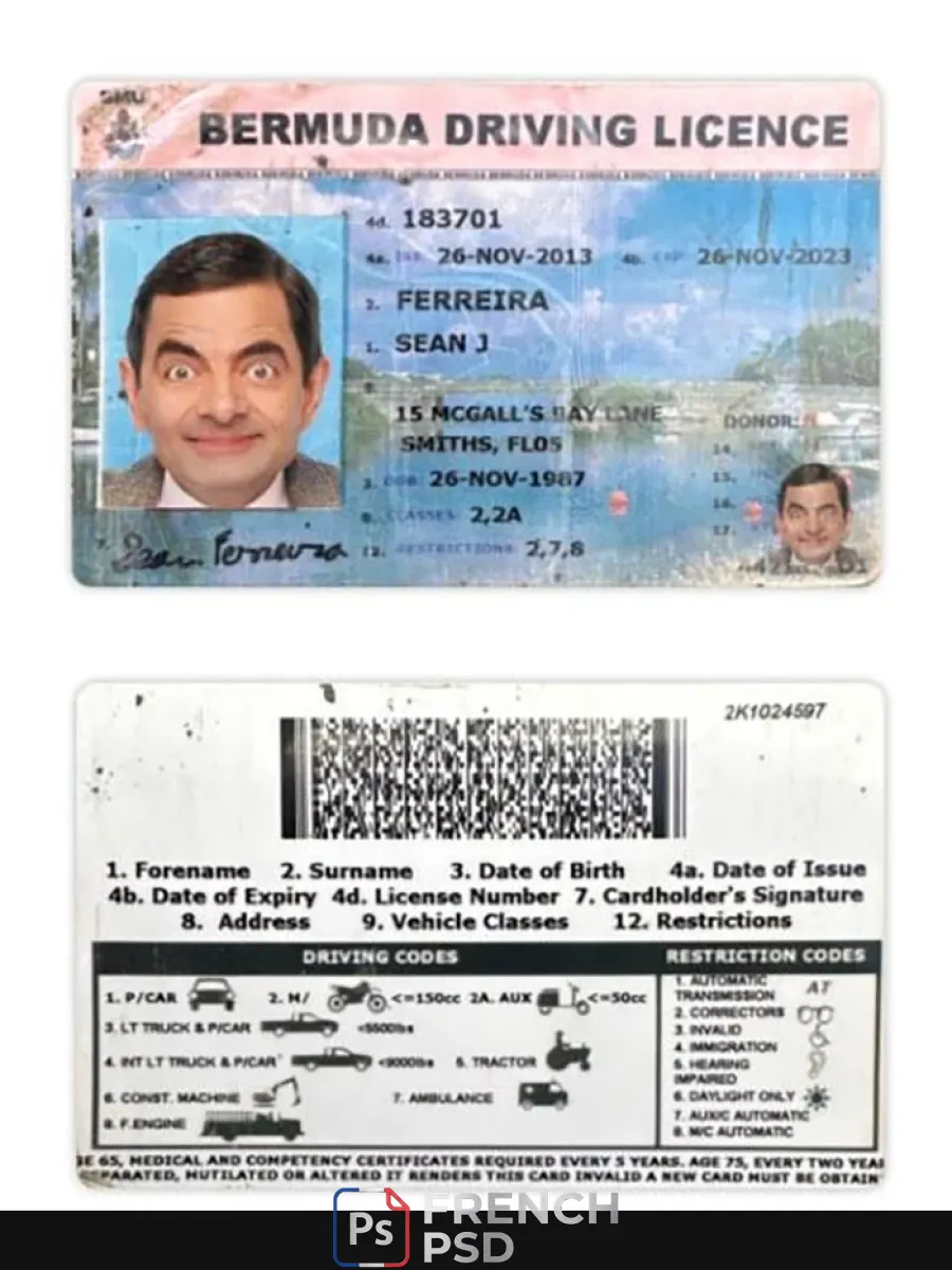 Bermudes permis de conduire — Permis de conduire