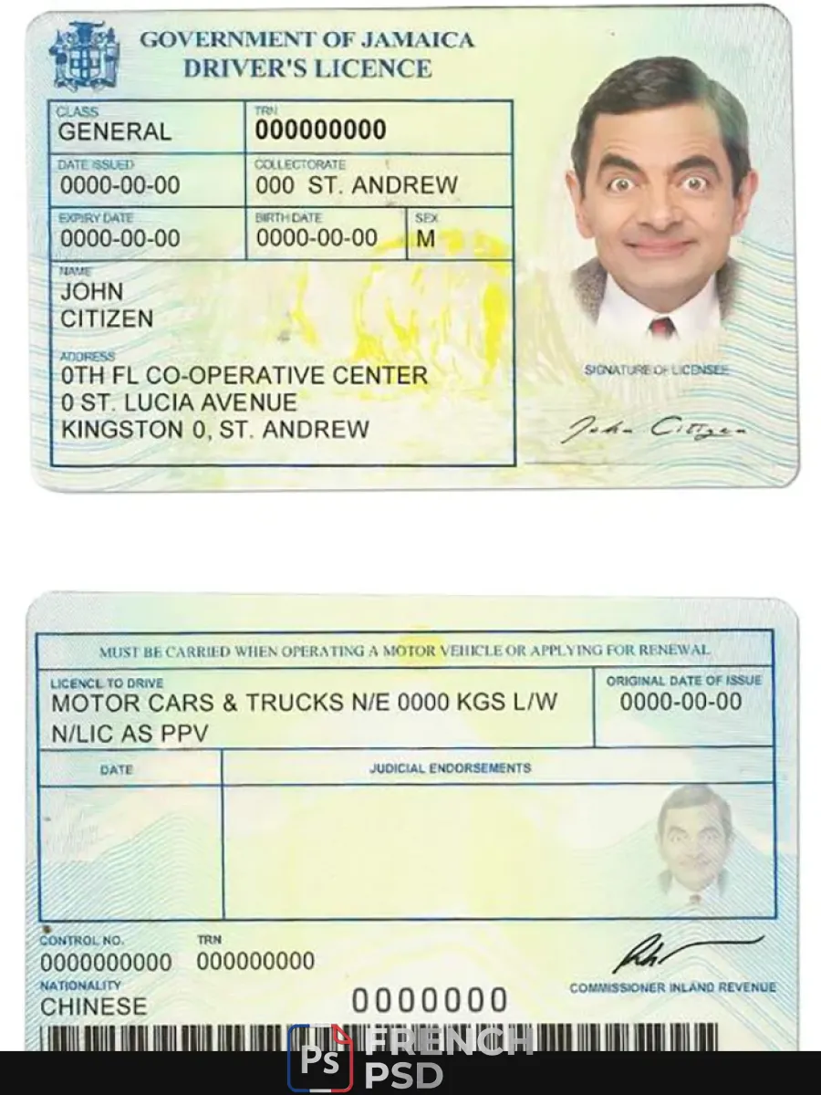 Jamaïque permis de conduire — Permis de conduire