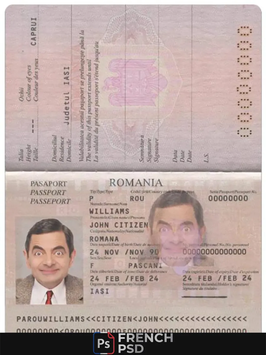 Roumanie passeport version 2 — Passeports