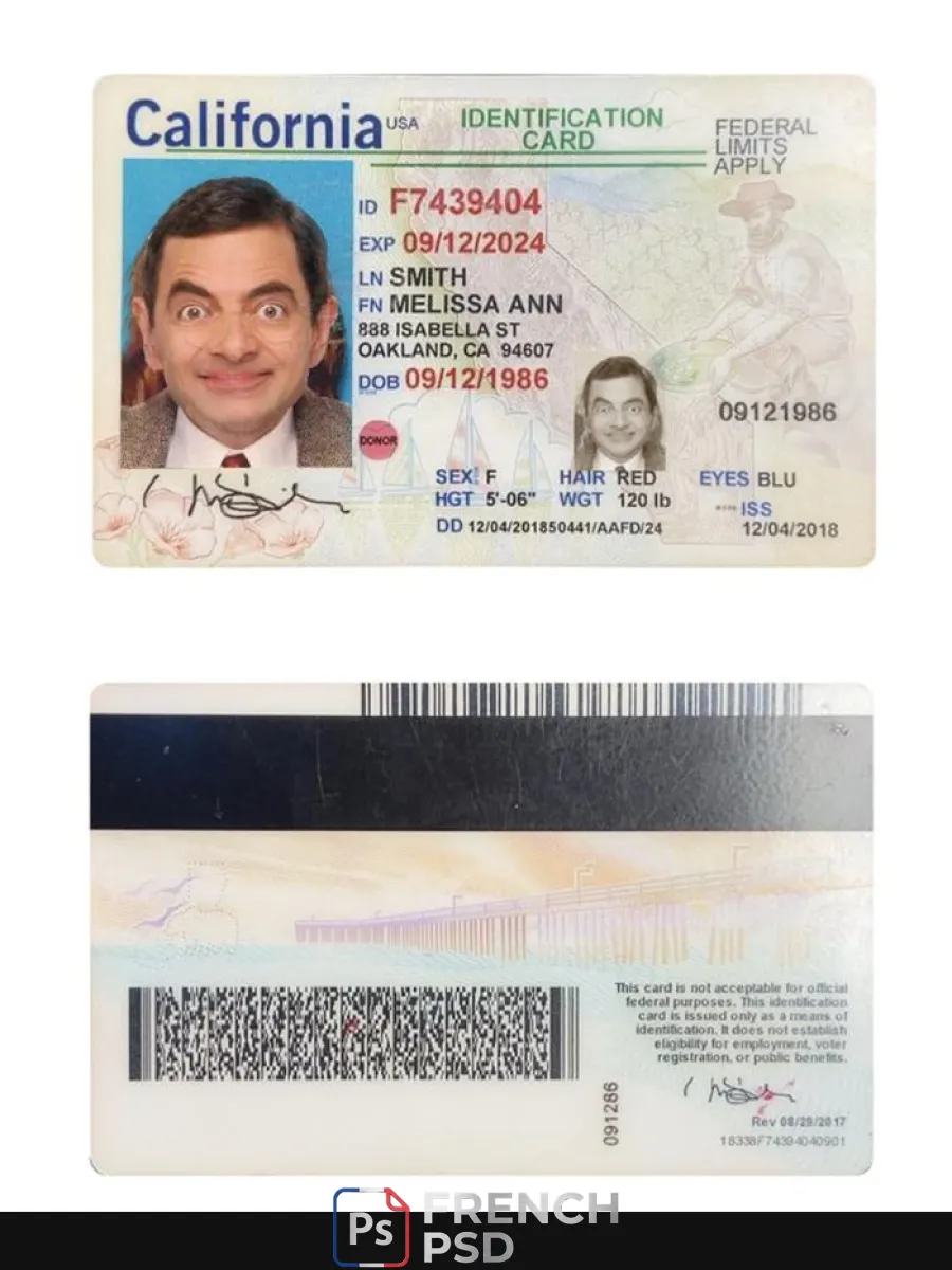 États-Unis California carte d'identité — Cartes d'identité
