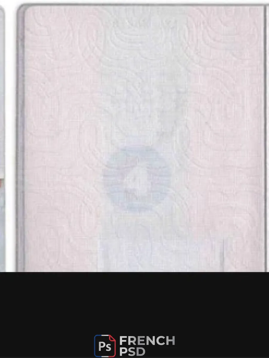 Russie standard passeport — Passeports