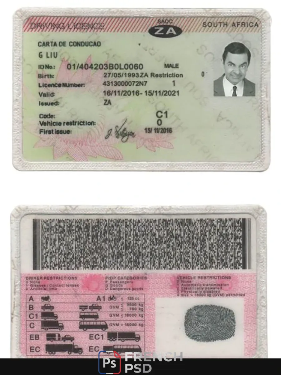 Sud Afrique permis de conduire — Permis de conduire