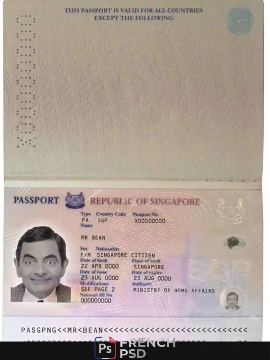 Singapour passeport 2006 2017