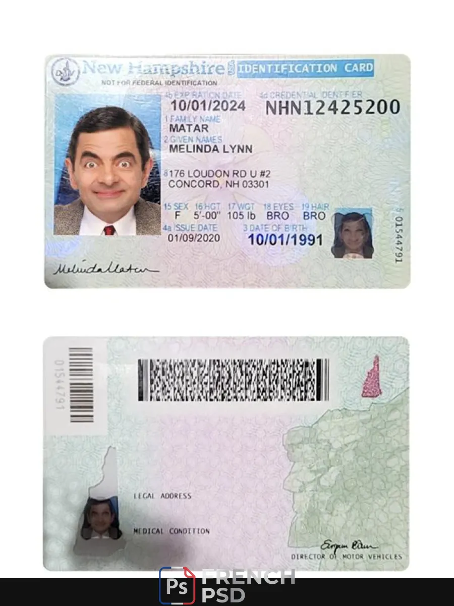 États-Unis nouveau Hampshire carte d'identité — Cartes d'identité