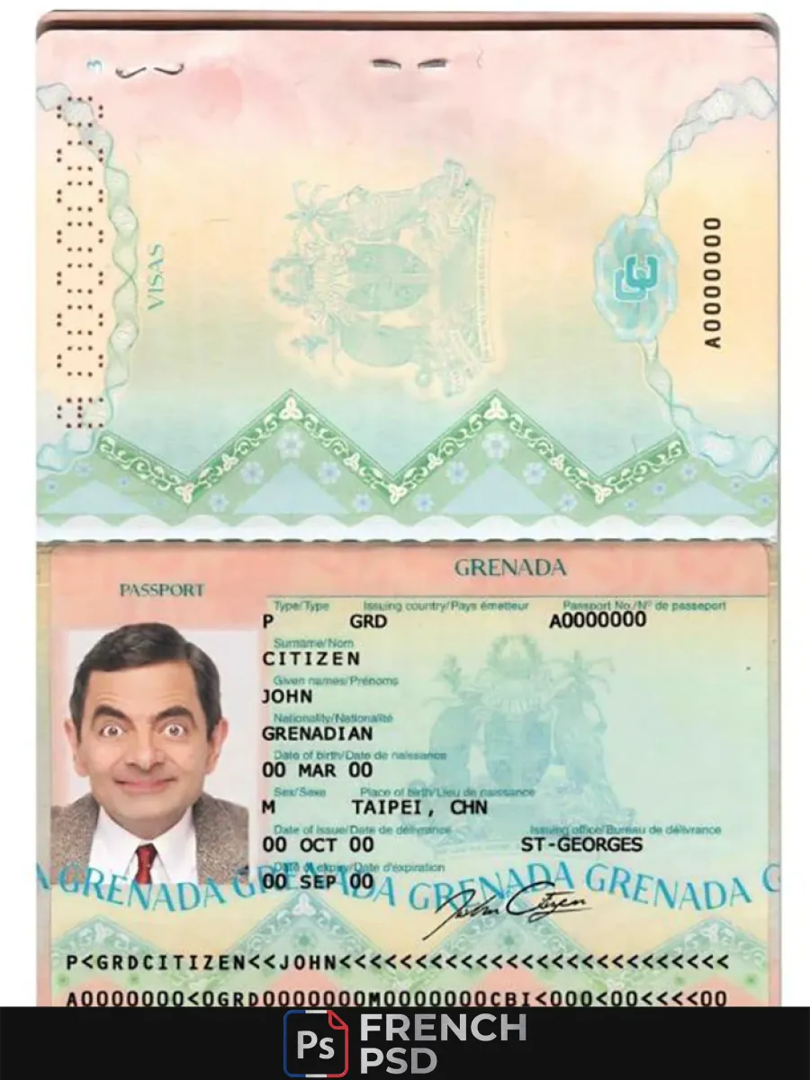 Grenade passeport — Passeports