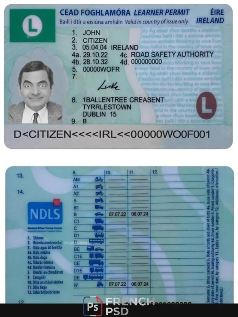 Irlande permis de conduire apprenti permis 2022 présent — Permis de conduire