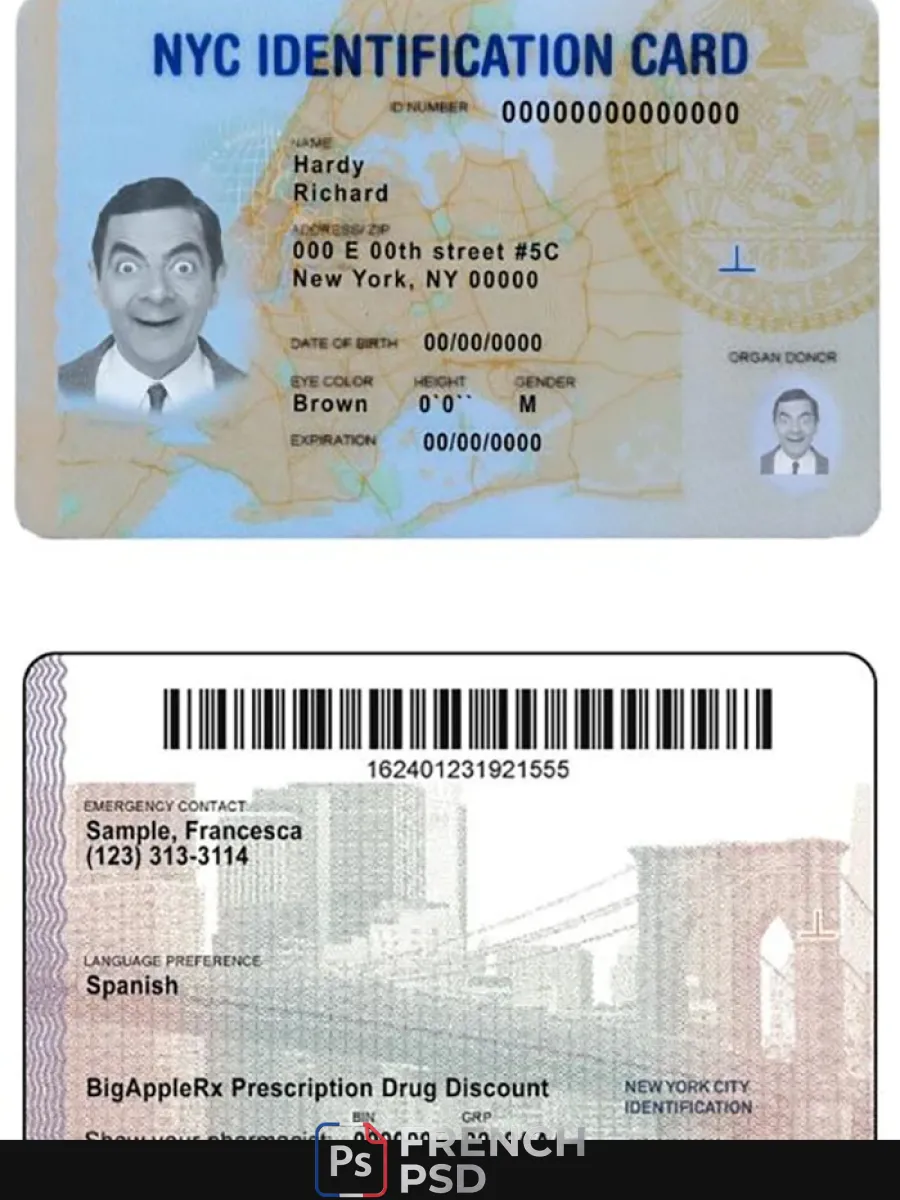 États-Unis nouveau York Id — Cartes d'identité
