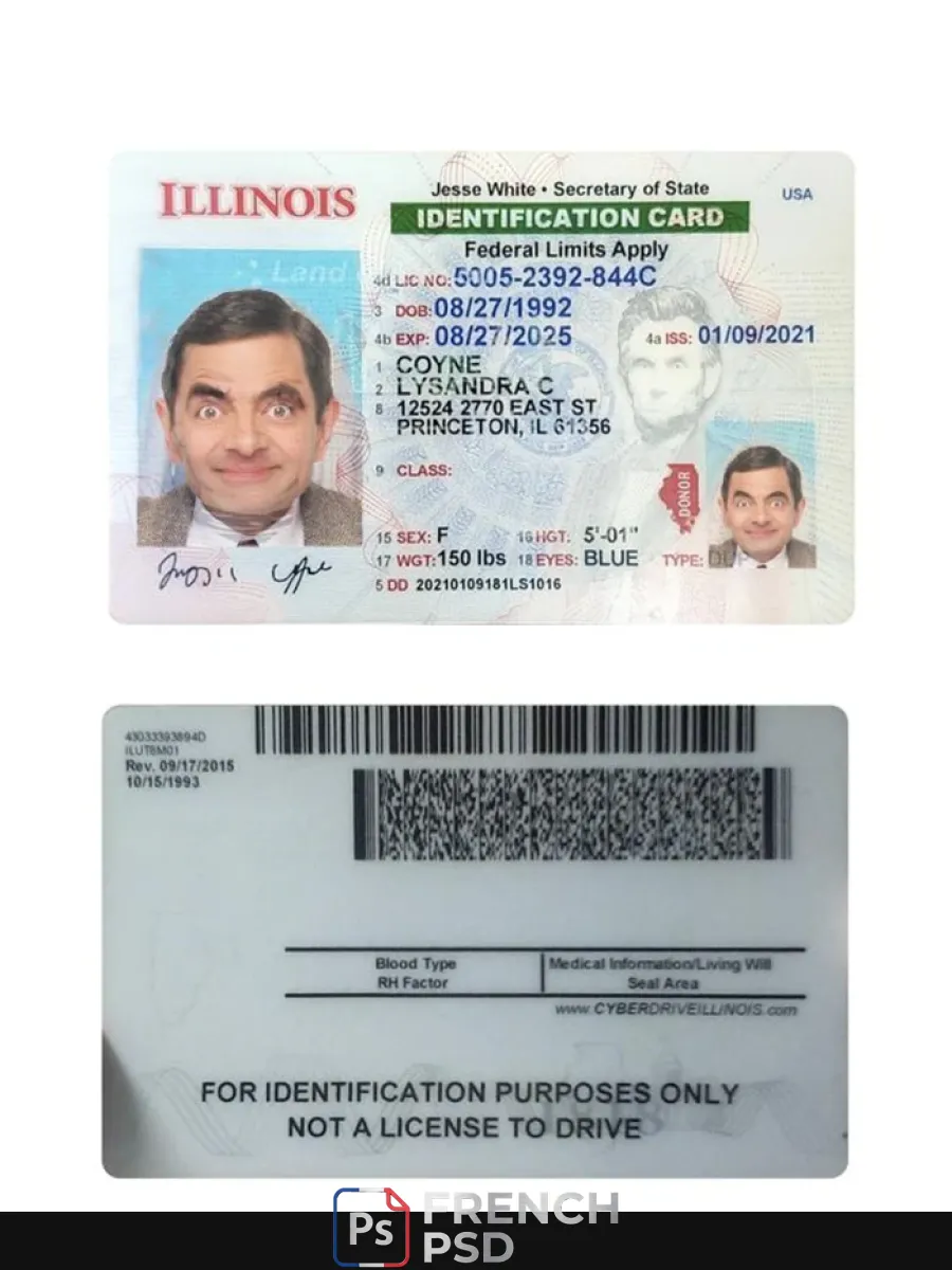 États-Unis Illinois carte d'identité — Cartes d'identité