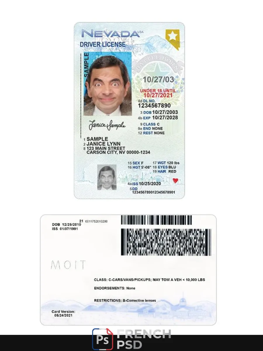 États-Unis Nevada moins de 21 permis de conduire — Permis de conduire