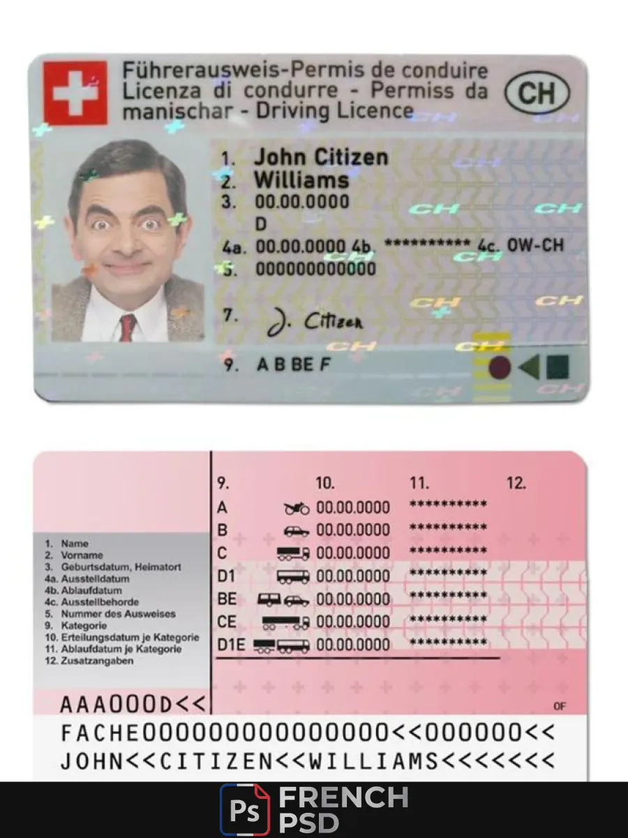 Suisse permis de conduire — Permis de conduire