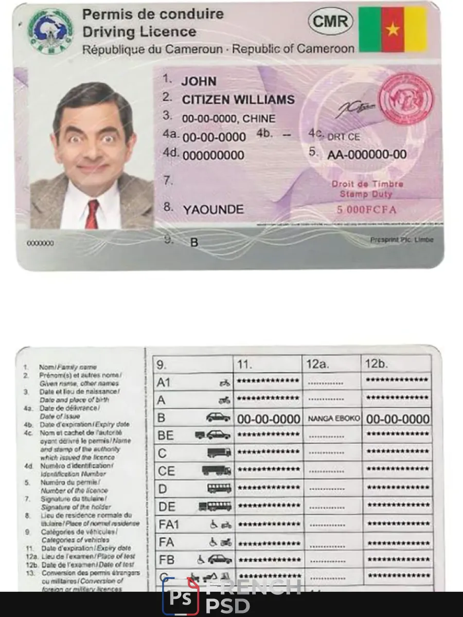 Cameroun permis de conduire — Permis de conduire