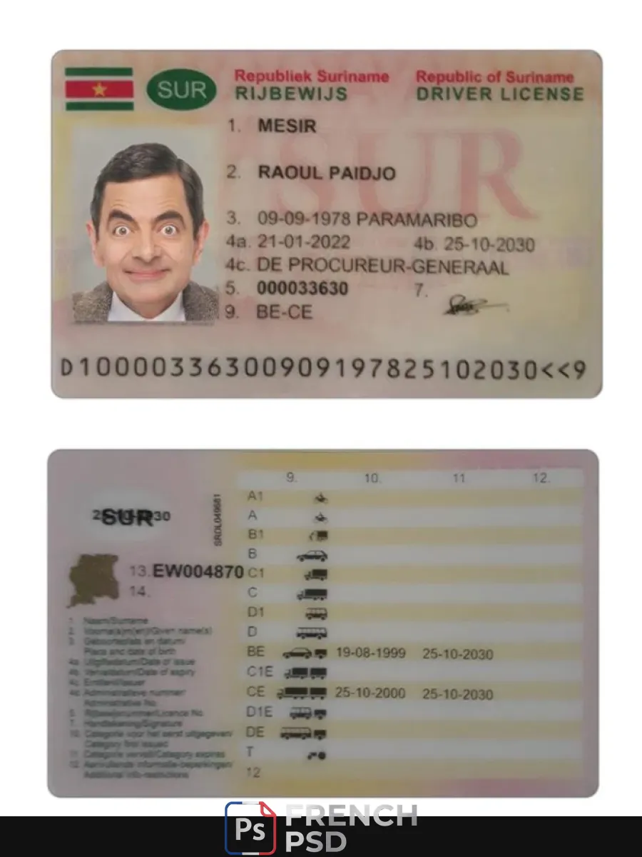 Suriname permis de conduire 2022 présent — Permis de conduire