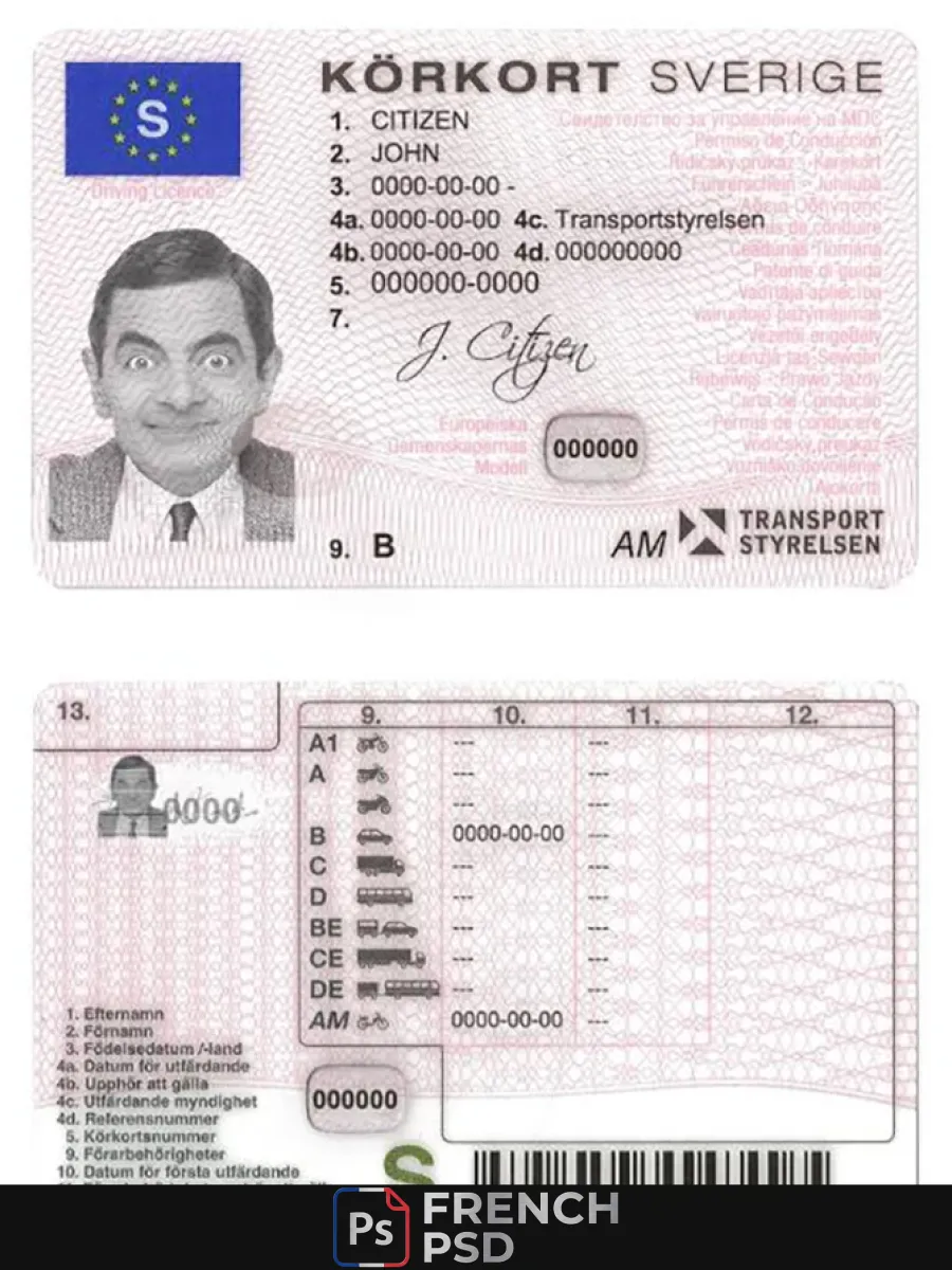 Suède Dl 2009 2016 — Permis de conduire